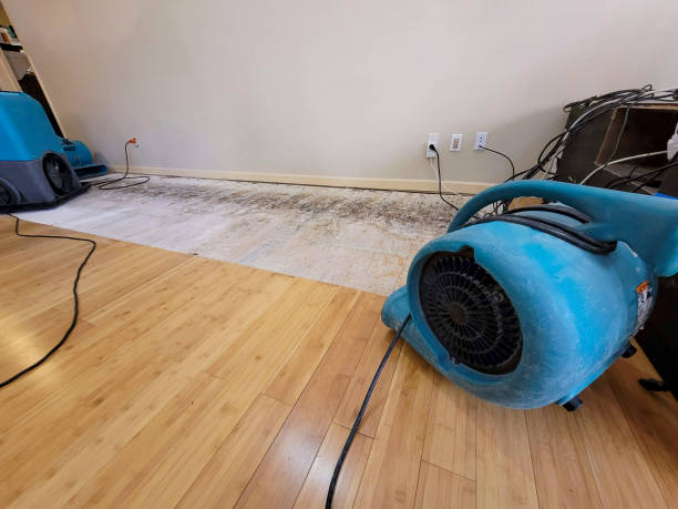 Professional Sewage Cleanup technician working in Van, TX